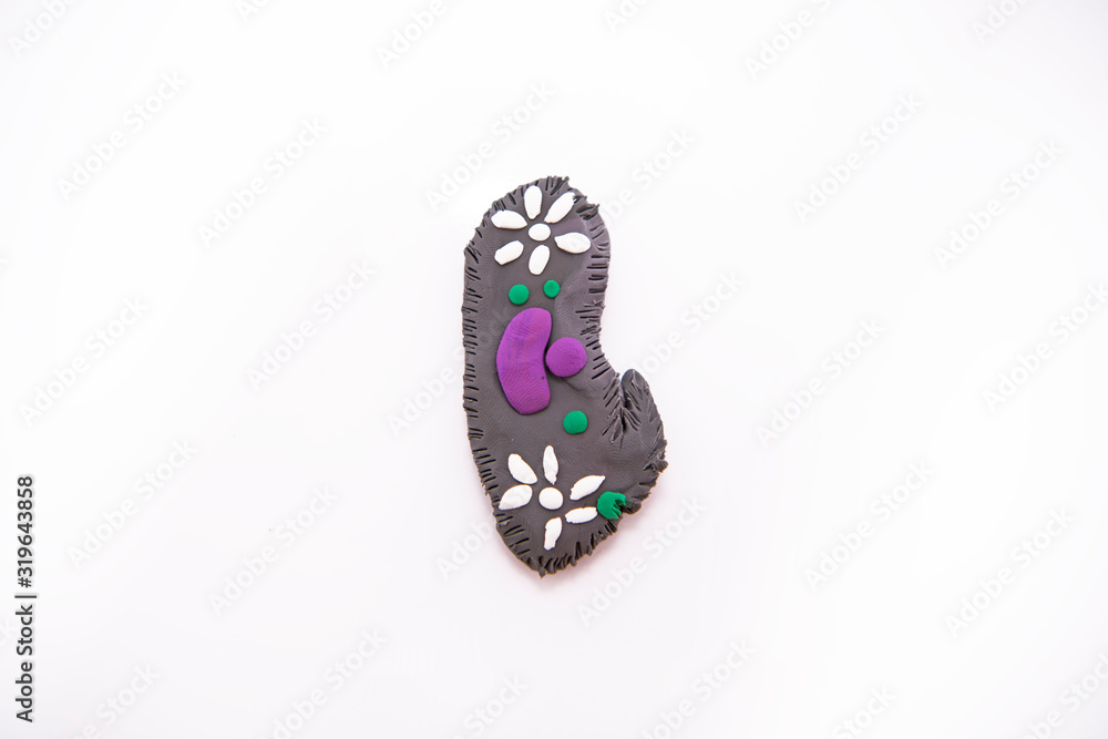 Protozoa bacteria. The most famous and simple bacteria: Paramecium Protozoa bacteria. The most famous and simple bacteria: Paramecium