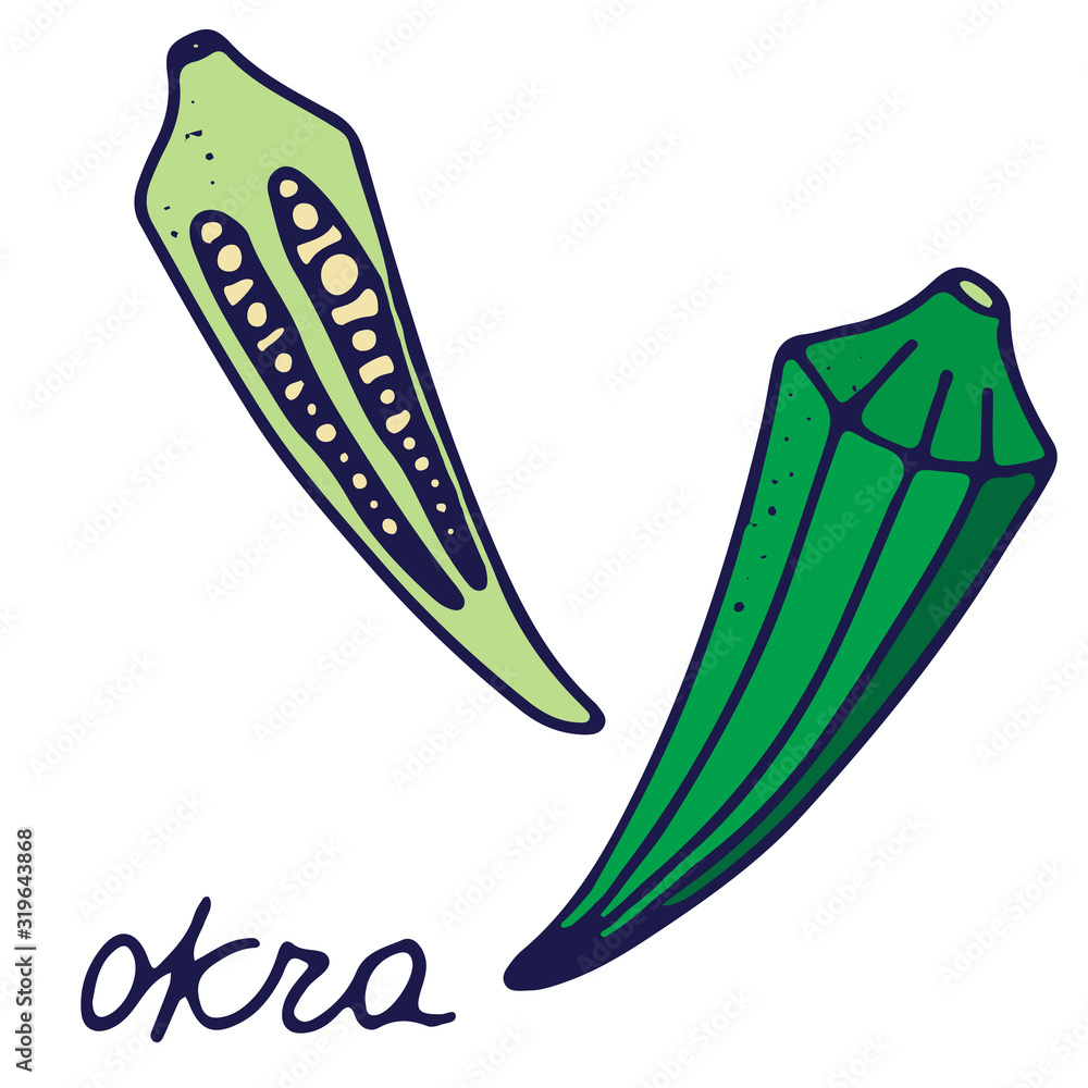 Hand drawn isolated traditional indian food icon. Color fill illustration of indian vegetable. Okra. Hand drawn isolated traditional indian food icon. Color fill illustration of indian vegetable. Okra.
