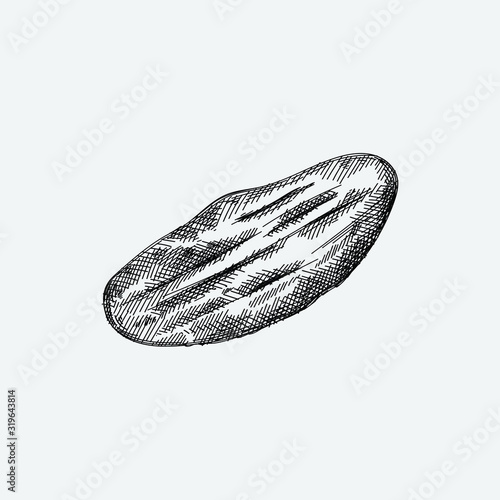 Hand drawn sketch of national Azerbaijan bread cooked in the oven called tandoor. Bread is obtained by heating the dough attached to the inside of the oven.