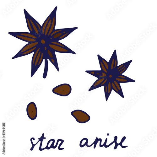 Hand drawn isolated indian food icon. Color fill illustration of indian spice. Star anise icon