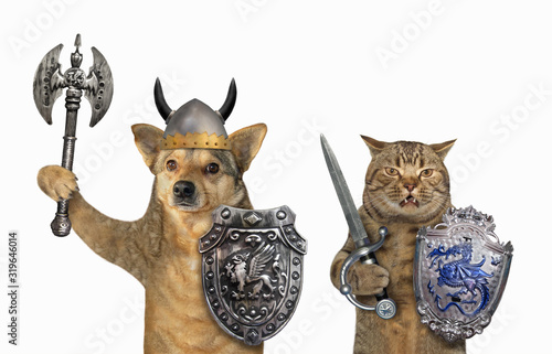 The dog and the cat are armed with shields with a dragon, helmets, an inlaid sword and a two sided axe. They are standing together. White background. Isolated.