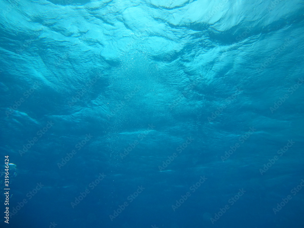 Underwater photo of water surface - obrazy, fototapety, plakaty 
