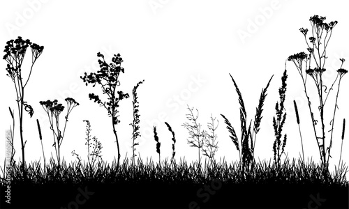 Silhouettes of grass and wild weeds, field. Plants are separated from grass. Vector illustration.