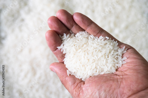 White jasmine rice seed in men hand with rice background. Organic, natural long rice grain, food raw for healthy. Agriculture of culture asian, Top view