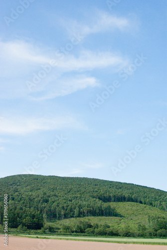 Wallpaper Mural 北海道松内町の雲と丘と青空景 Torontodigital.ca