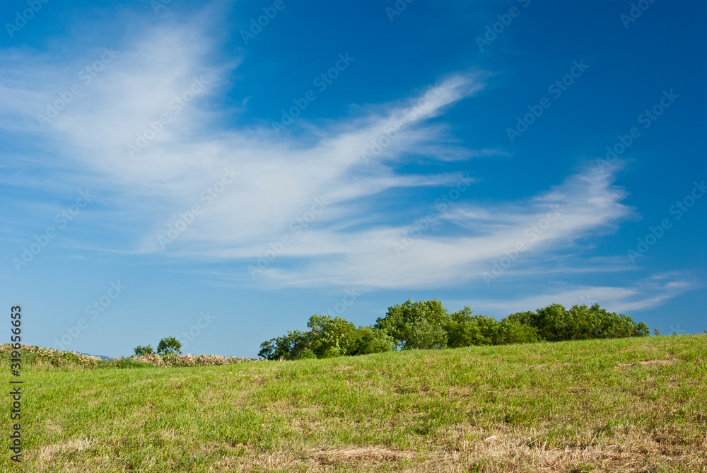 Obraz premium 青い空に浮かぶ雲の表情の風景