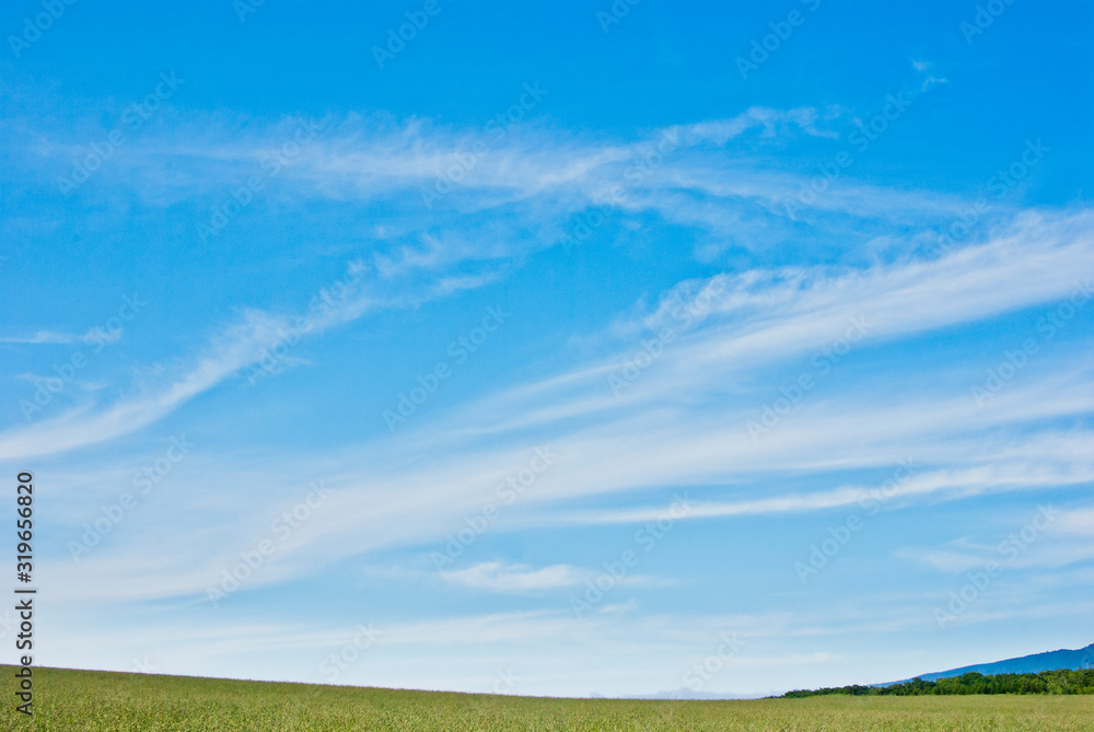 Obraz premium 青い空に浮かぶ雲の表情の風景