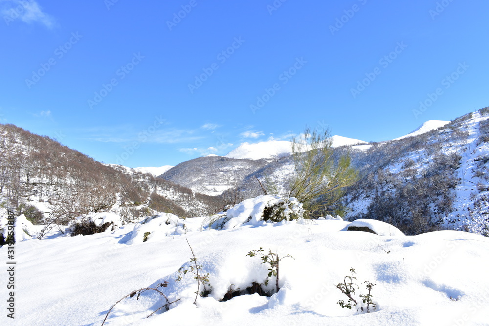 Winter landscape with snowy mountains, forest and road with blue sky. Ancares, Lugo, Galicia, Spain.