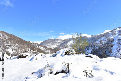 Winter landscape with snowy mountains  forest and road with blue sky. Ancares  Lugo  Galicia  Spain.