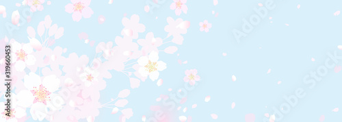 ふわふわ幻想的な桜と春の空