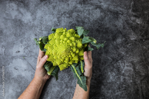 Two hands holding a romanesco cabbage over a dark surface