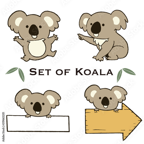 Photography コアラのイラストセット　カラー　線あり