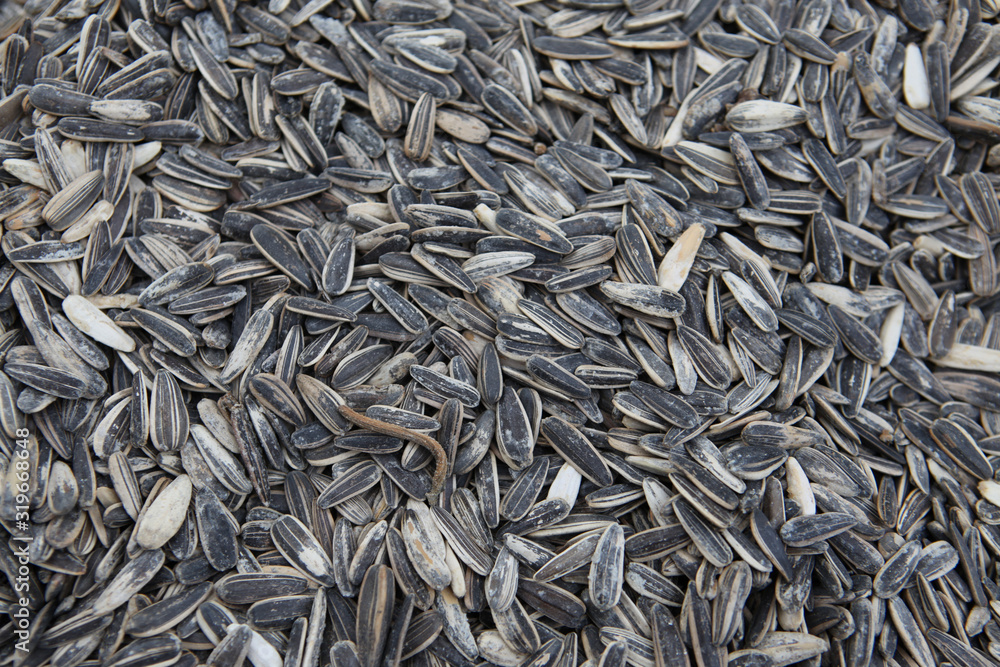 Large sunflower seeds close-up, on the market in Asia