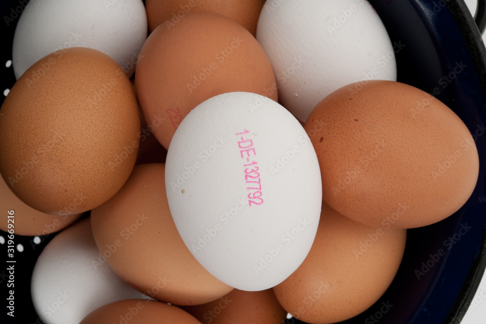 Eier Eier