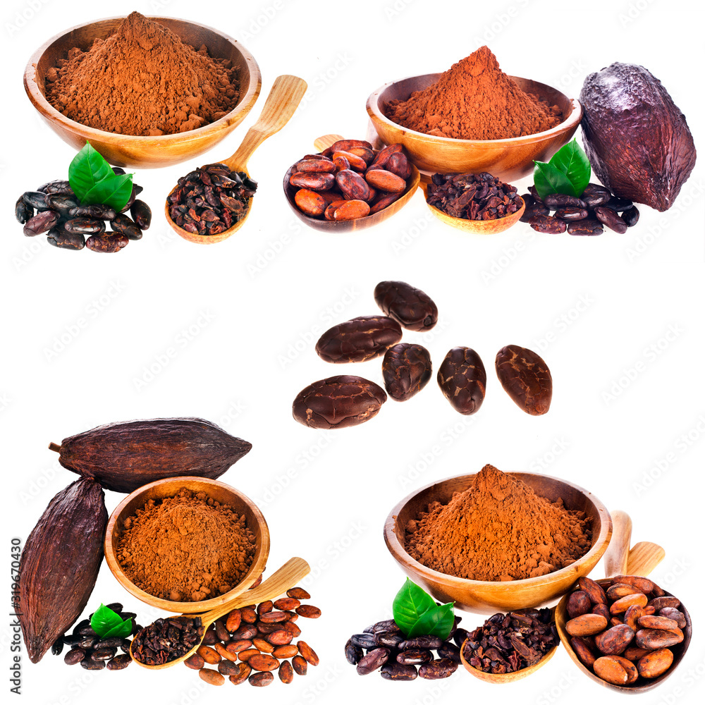 Collection of cocoa pods, cocoa beans with leaves and cacao nibs in a spoon isolated on a white background.