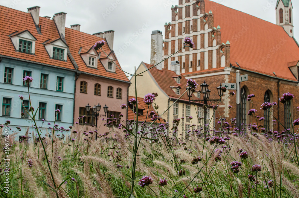 Square with the flowers in the old Riga, Latvia
