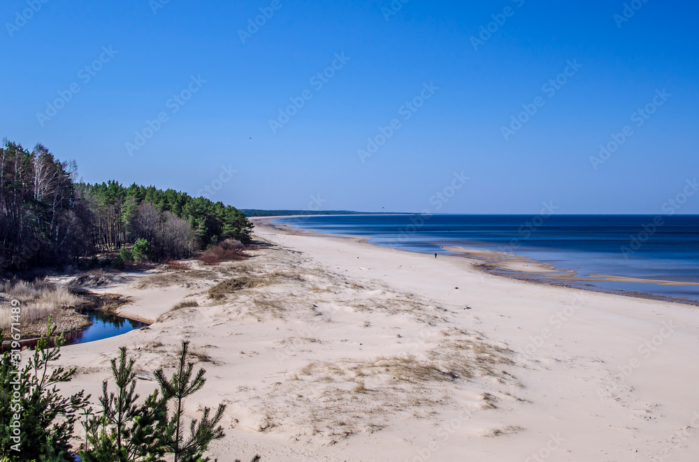 The White Dune and Baltic see at Saulkrasti in spring, Latvia. White sand beach near conifer trees forest in Baltic.