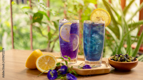 Two glasses of Blue and Violet Butterfly pea flower juice drinking, decoreted with yellow lemon sliced and fresh and dry Asian pigeon wings flowers, on wooden table and green blurry background