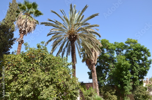 Palais de la Bahia à Marrakech - jardin islamique photo
