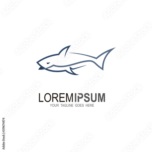 Shark logo with line design vector template