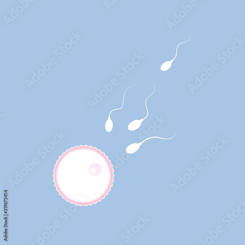 fertility reproduction of ovum and spermatozoon vector illustration EPS10