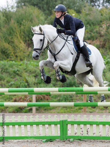 Showjumping Horse
