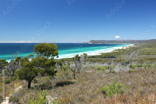 Fototapeta Naklejka Na Ścianę i Meble -  Tasmania, Freycinet National Park, Friendly Beaches