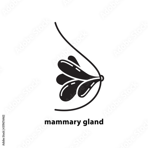 Cutout silhouette mammary gland icon. Outline template for logo for breast cancer. Black and white simple illustration. Flat isolated vector image on white background for medical surgery clinic