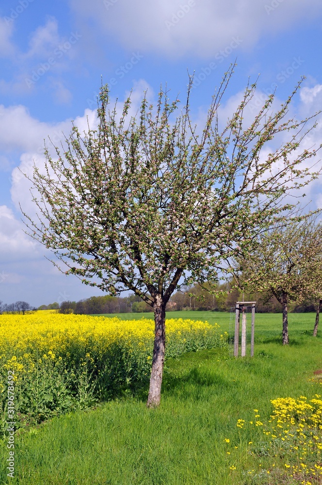 Unterwegs bei Böhla-Sachsen