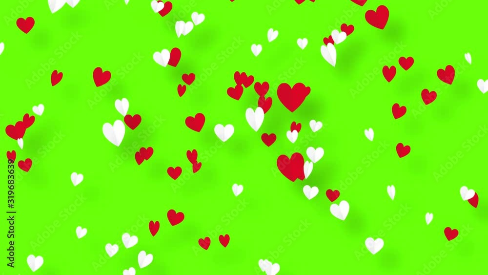 white and red hearts flying on a green screen background,wedding,valentine white and red hearts flying on a green screen background,wedding,valentine