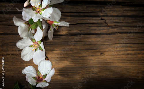 Flowers of apple on a wooden background