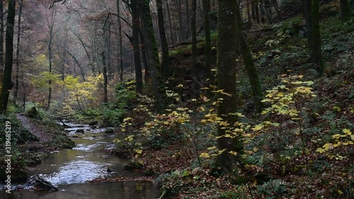 Panning shot of water flowing over rocks in babbling brook in forest
