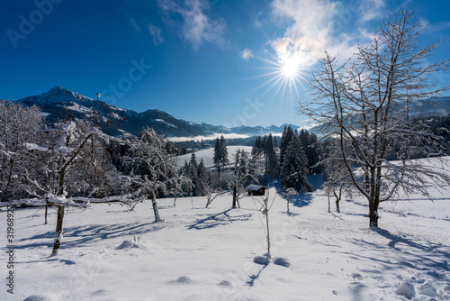 Kitzbühler Horn in Winterlandschaft mit Schnee und Wald © lexpixelart