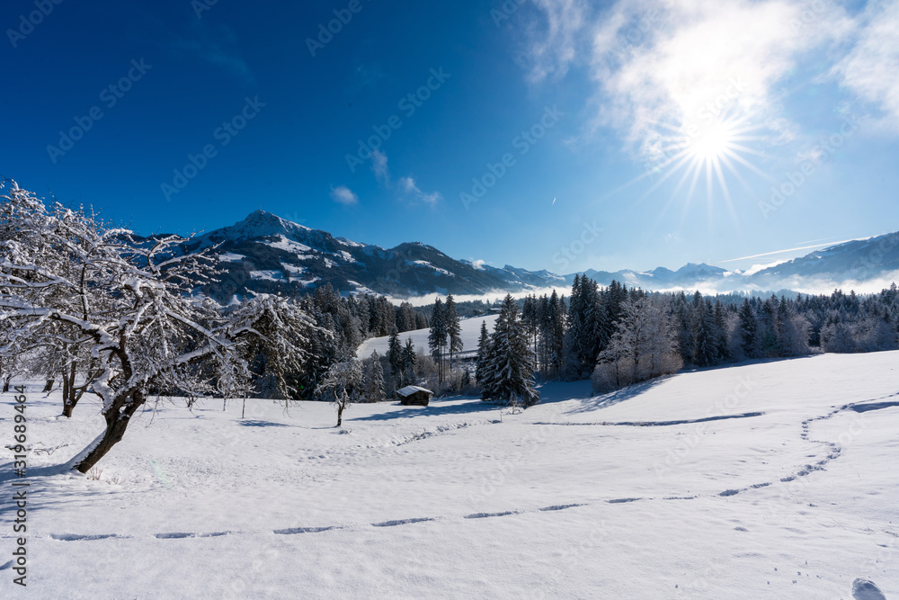 Kitzbühler Horn in Winterlandschaft mit Schnee und Wald