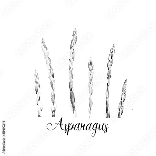 Hand drawing art asparagus watercolor illustration
