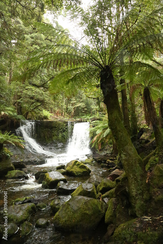 Tasmania  Mount Field National Park  Horseshoe Falls