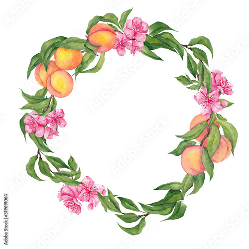 Wreath with watercolor hand draw fruits of peach and leaves, isolated on white background