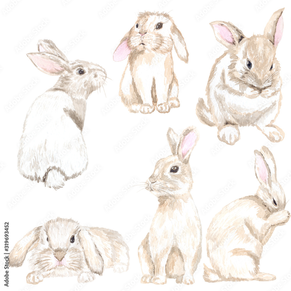 Watercolor set of cute rabbits. Suitable for the design of printing, textile products, souvenir products, patterns for embroidery, decoupage, scrapbooking and much more.