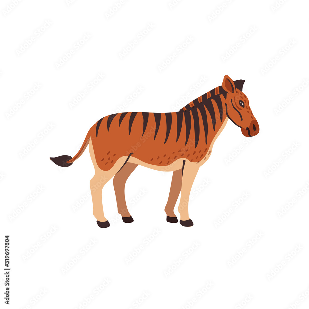 Fototapeta premium Extinct animals. Quagga. Prehistoric extinct north american striped horse, hybrid of zebra and horse. Flat style vector illustration isolated on white background.
