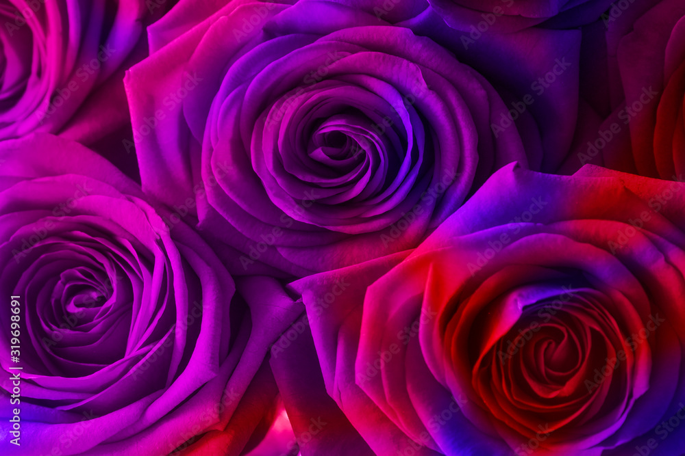 Close up bouquet of roses with neon light for Valentines day. Close up bouquet of roses with neon light for Valentines day.