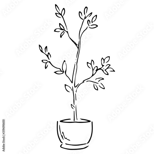 Spring garden flowers. Vector illustration of garden flowers in a pot. Hand drawn spring flowers in a pot.