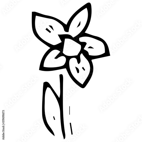 Flower icon. Vector illustration of spring daffodil. Hand drawn spring flower.