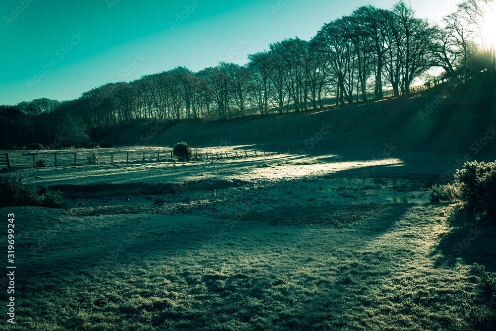 Low winter sun across a Frost laden field, Glencorse, Pentland Hills, Scotland