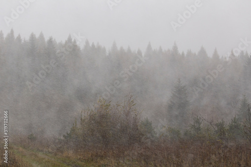  Mystic cloudy and foggy autumn Carpathian Mountains. mountain slopes scene. Natural wallpapers  autumn Carpathian slopes. Unique natural and weather moments.