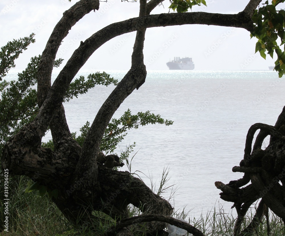 Fototapeta premium Silhouette of trees on a rainy day at the beach, with a ship in the distance