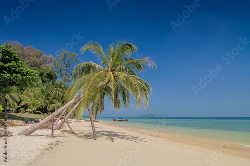 view seaside of a coconut tree on white sand beach with blue-green sea and blue sky background, Ko Bulon Le island, Satun Province, southern of Thailand.