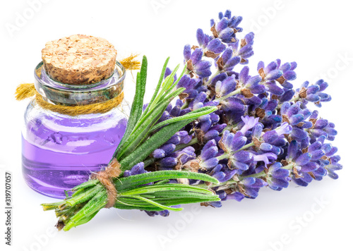 Bunch of lavandula and lavender essential oil on white background.