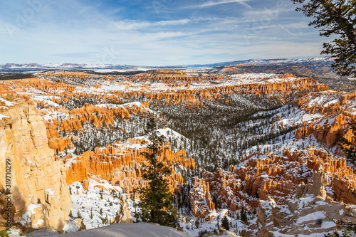 Snowy forest of Bryce Canyon National Park in winter covered with snow seen from Bryce Point