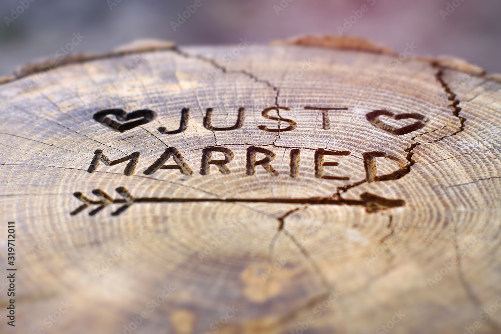 Just married. An inscription on a cut of a tree for a wedding decoration. Handmade decorative board on oak. Photo for your invitation design. Just married. An inscription on a cut of a tree for a wedding decoration. Handmade decorative board on oak. Photo for your invitation design.