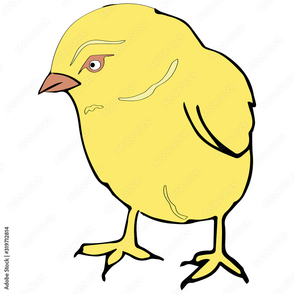 chicken chicken
